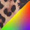 leopard/multicolor